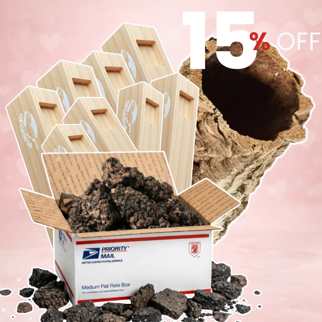 Crested Gecko Essentials